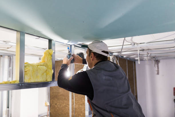 Best Eco-Friendly Insulation in Socorro, NM